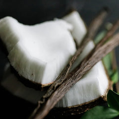 Vanilla Coconut Natural Dry Shampoo | VIORI