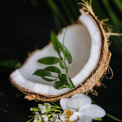 Coconut Oil Repair Shampoo Bar – Damaged Hair | VIORI