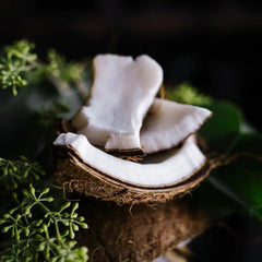 Coconut Sugar Scrub Bar – Moisturizing Exfoliant | VIORI