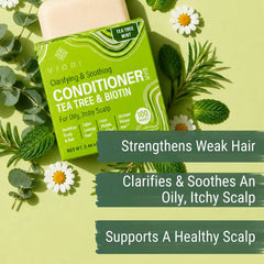 Tea Tree Conditioner Bar – Oily & Itchy Hair | VIORI