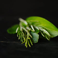Rosemary Biotin Conditioner Bar – Thinning Hair | VIORI