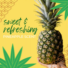 Pineapple Conditioner Bar for All Hair Types